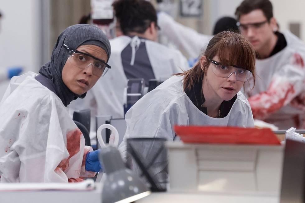 filmes-the-pitt-the-bear-e-dying-for-sex-recebem-selo-reframe-com-aumento-de-