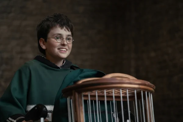 Harry Potter Série Hbo